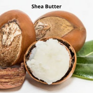 3 Shea Butter nuts, with one open showing the white flesh inside